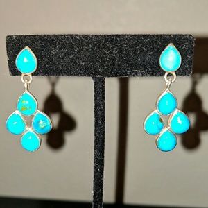 Sterling Silver Sleeping Beauty Turquoise Earrings